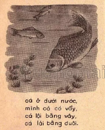 Vần uôi, ươi (trang 90)