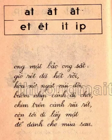 Ôn tập (trang 96)