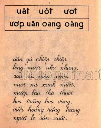 Ôn tập (trang 114)