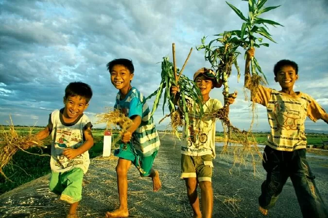 Có những ngày... mộc mạc tuổi thơ tôi - Phú Sĩ