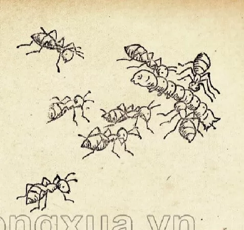 Đàn kiến tha mồi (trang 23)
