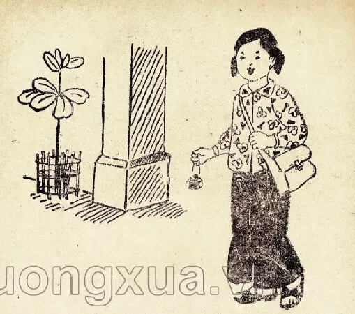Sạch sẽ (trang 29)