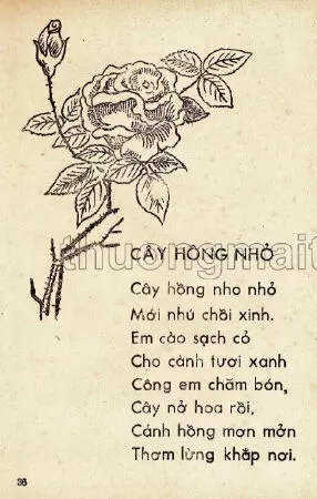 Cây hồng nhỏ (trang 36)