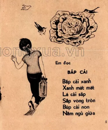 Bắp cải (trang 5)