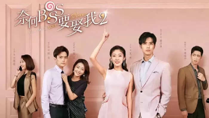 Tại Sao Boss Muốn Cưới Tôi (2019)
