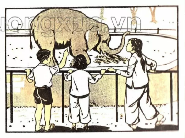 Vần ai, oi, ui (trang 103)