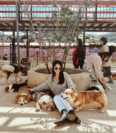 Trang trại cún Puppy Farm