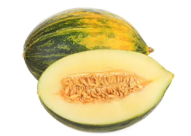 Dưa Camouflage