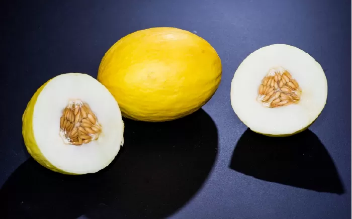 Dưa Canary