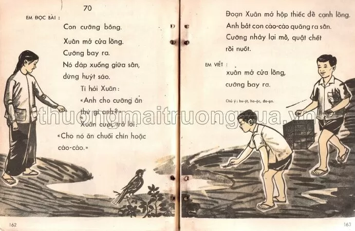 Con cưỡng bông (trang 162, 163)