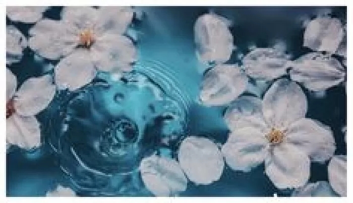 Top 10 dàn ý và bài văn hay phân tích sức sống tiềm tàng của nhân vật Mị trong Vợ chồng A Phủ