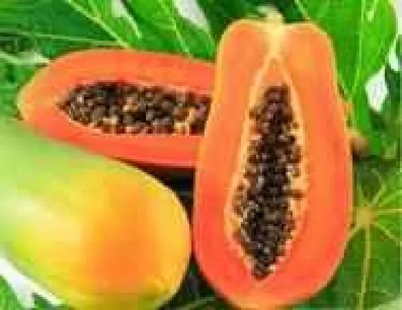 Mặt nạ bằng đu đủ
