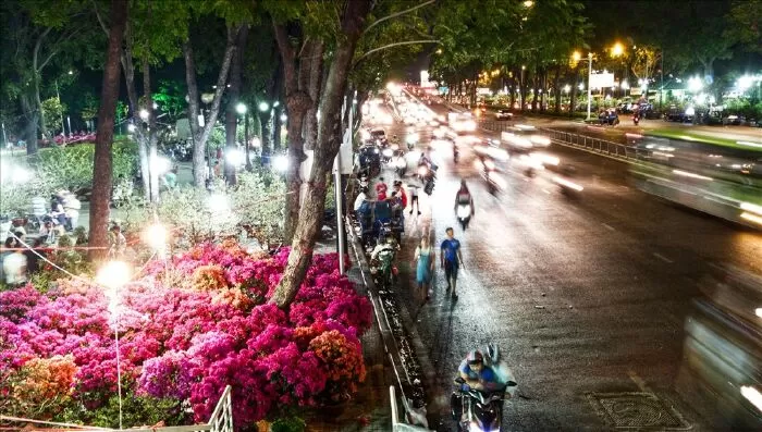 Sài Gòn ngày cuối năm - Nguyễn Đình Huân