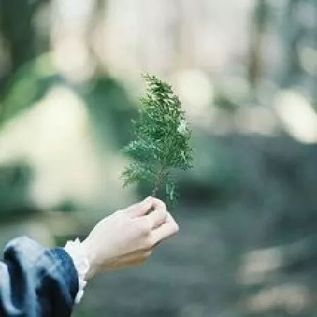 Đoạn mẫu 5