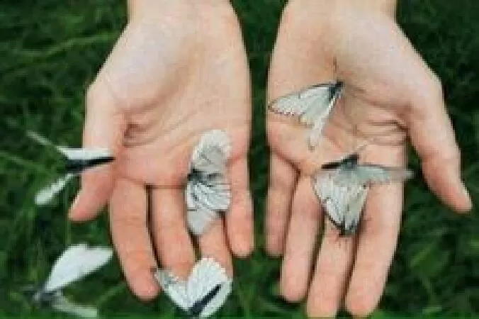Đoạn mẫu 9