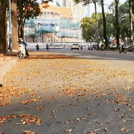 Sài Gòn cuối thu - Nguyễn Đình Huân