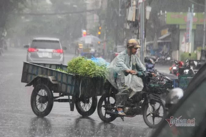 Người Sài Gòn trong mưa - Nguyễn Đình Huân