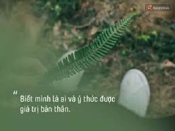 Không kiêu ngạo