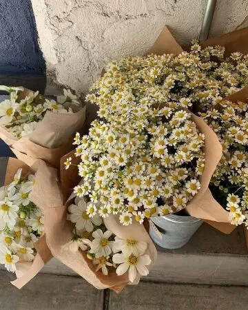 Mùi hương của hoa có thể khiến bạn hạnh phúc