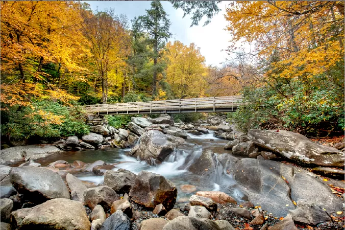 Dãy núi Great Smoky, Tennessee