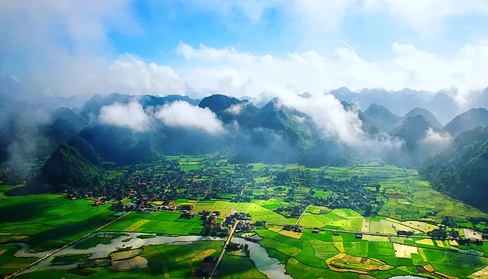 Về Hòa Bình anh nhé - Mèo Yêu