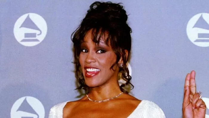 I Will Always Love You của Whitney Houston ở Grammy 1994