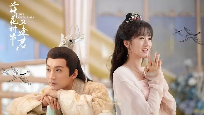 Mùa Hoa Rơi Gặp Lại Chàng - Love Never Fails