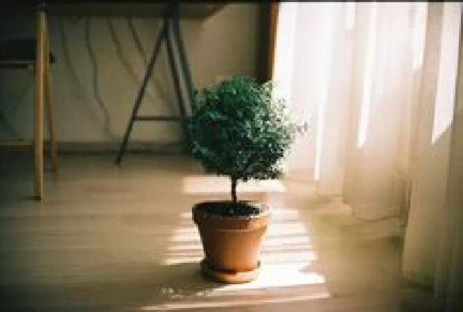 Bài phân tích số 3