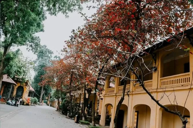 Hà Nội yêu thương – Bằng Lăng Tím