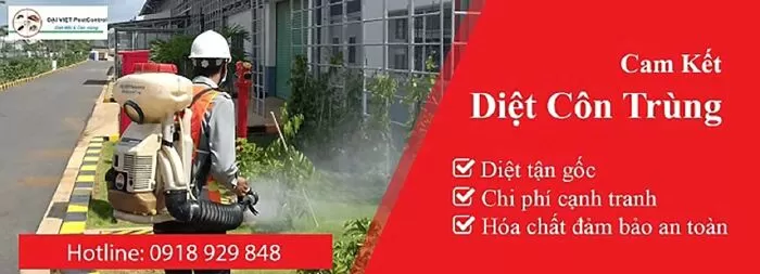 Công Ty TNHH Đại Việt
