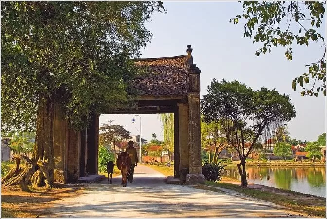 Gái đảm quê tôi - Nguyễn Thị Kim Qúy