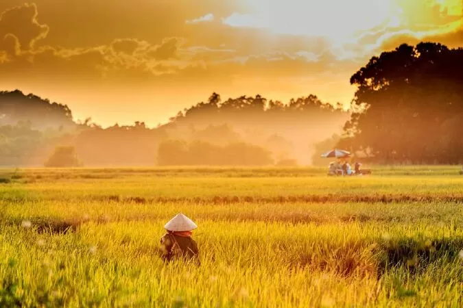 Gió thu tình nghĩa một nhà - Nguyễn Thị Phượng