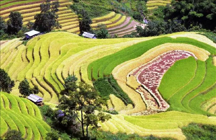 Chiều Sơn La - Lê Gia Hoài