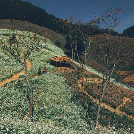 Sơn La - Tây Nguyên (Cầm Giang)