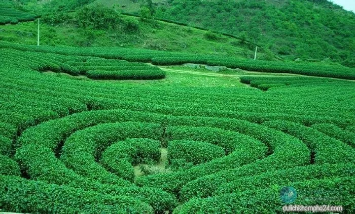 Về với Sơn La - Thiên Ân
