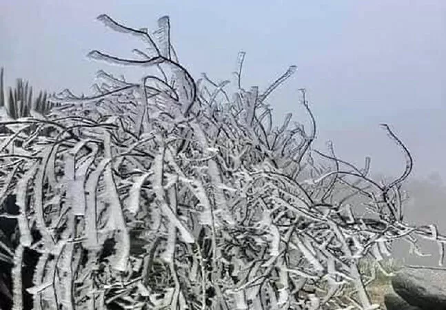 Sơn La ngày đông lạnh - Hoàng Đức Duy