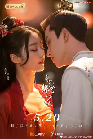 Thiếu Nữ Nhìn Thấy Duyên Phận - Love Is Written In The Stars