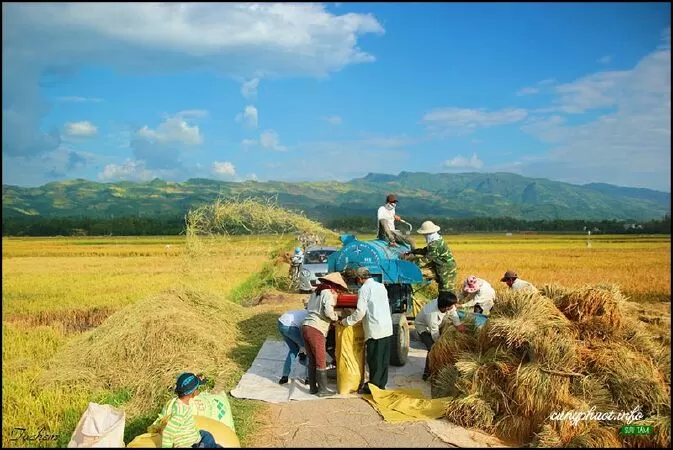 Quê tôi Điện Biên - Cầm Giang