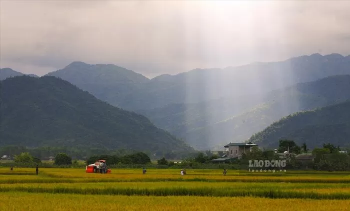 Thóc mới Điện Biên - Chế Lan Viên