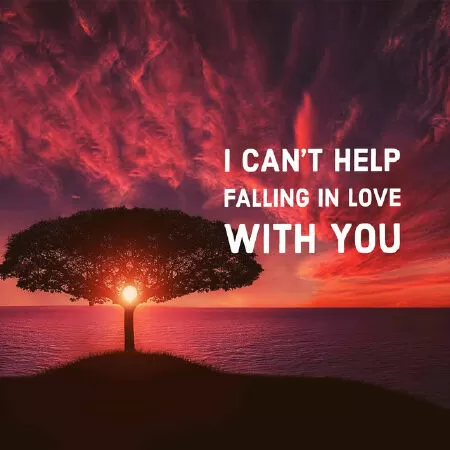 Can't Help Falling In Love With You