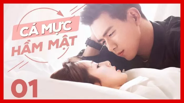 Cá Mực Hầm Mật - Go Go Squid!