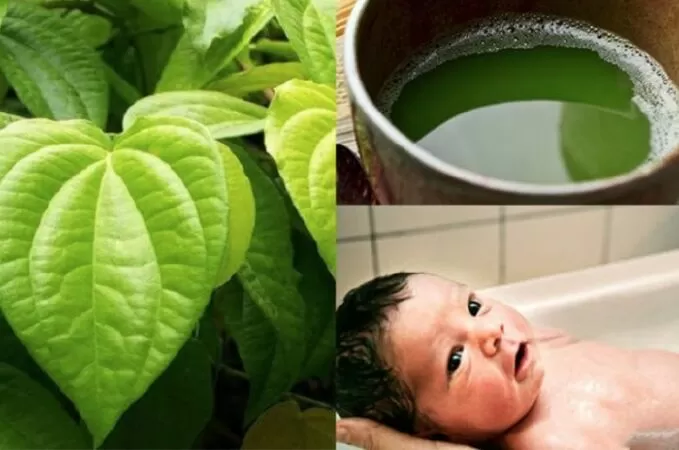 Tắm lá trầu cho bé