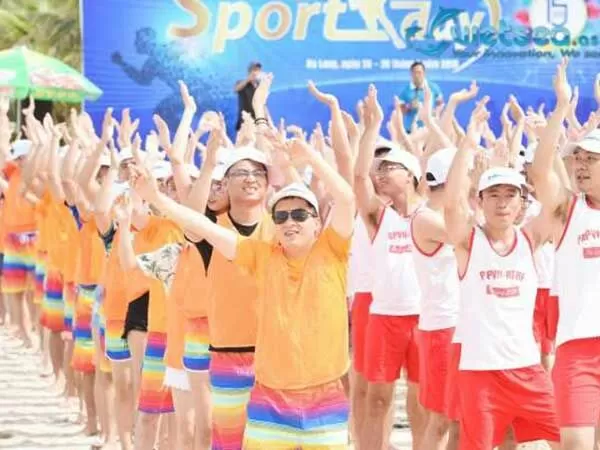Vietsea International JSC