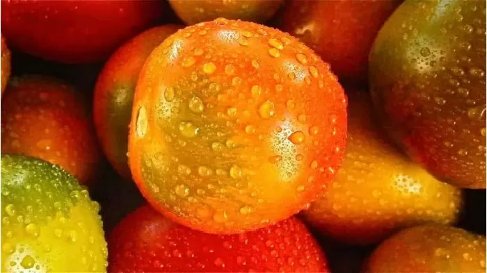 Cà chua - Hàm lượng nước: 94%