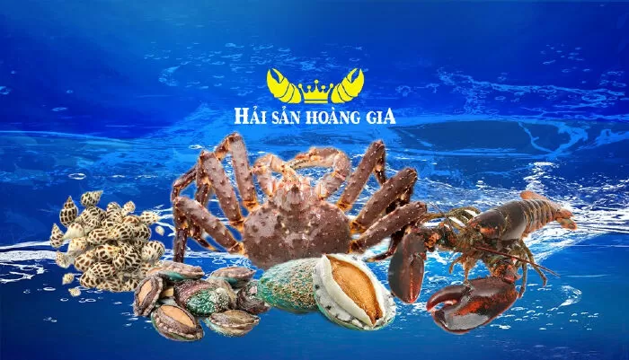 Top 10 nhà cung ứng hải sản tươi sống tốt nhất TP Hồ Chí Minh