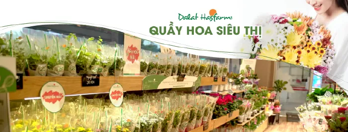 Dalat Hasfarm – Shop Hoa Chất Lượng Nhất Ở Hà Nội
