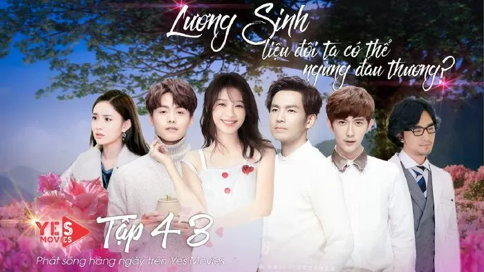 Lương Sinh, Liệu Đôi Ta Có Thể Ngừng Đau Thương? - All Out of Love