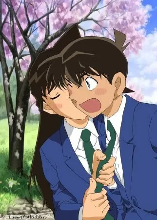 Kudo Shinichi và Ran Mouri