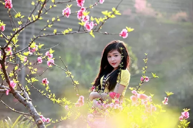 Top 12 bài thơ hay nhất về tỉnh Yên Bái