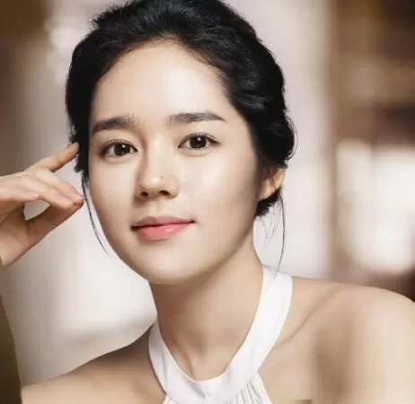 Han Ga-in
